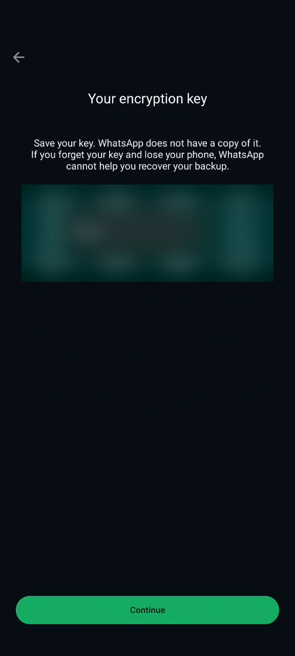 WhatsApp's Your encryption key screen — the 64-digit key grid is shown here (blurred in this screenshot)